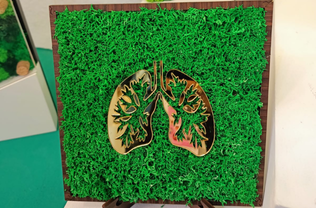 Green Lung Moss Frame